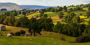 View of the Englaish countryside, showing rolling hills and farm animals