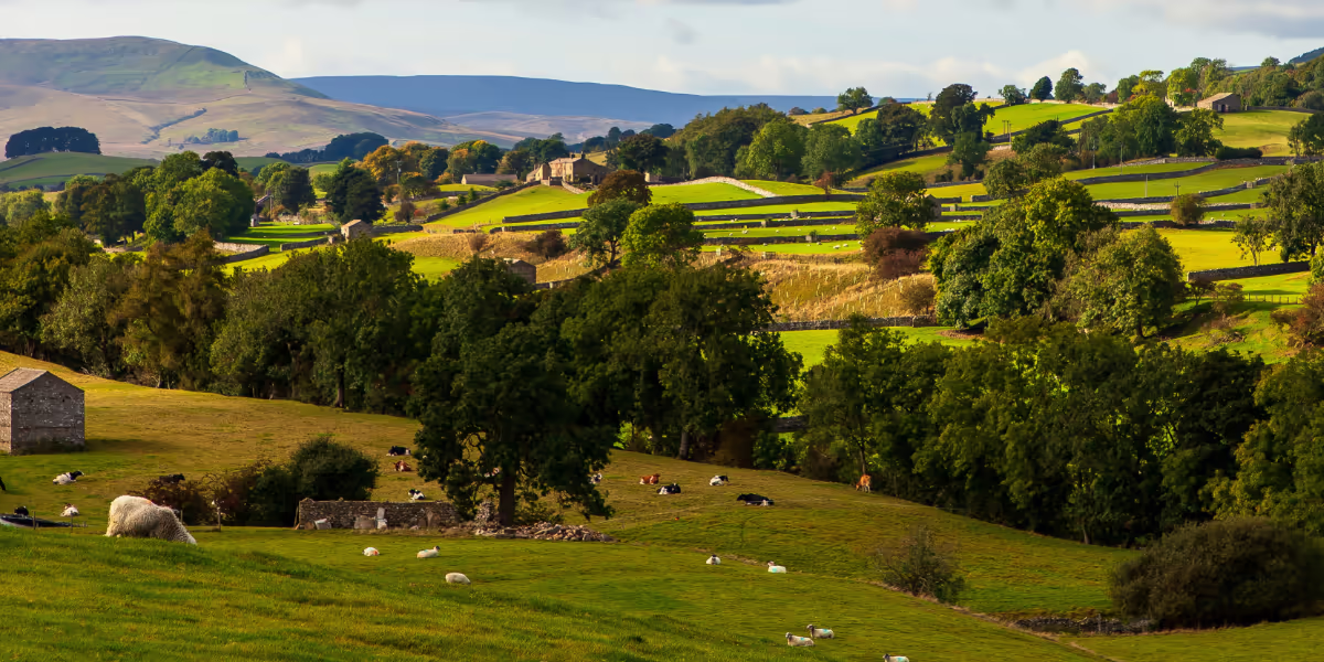 View of the Englaish countryside, showing rolling hills and farm animals